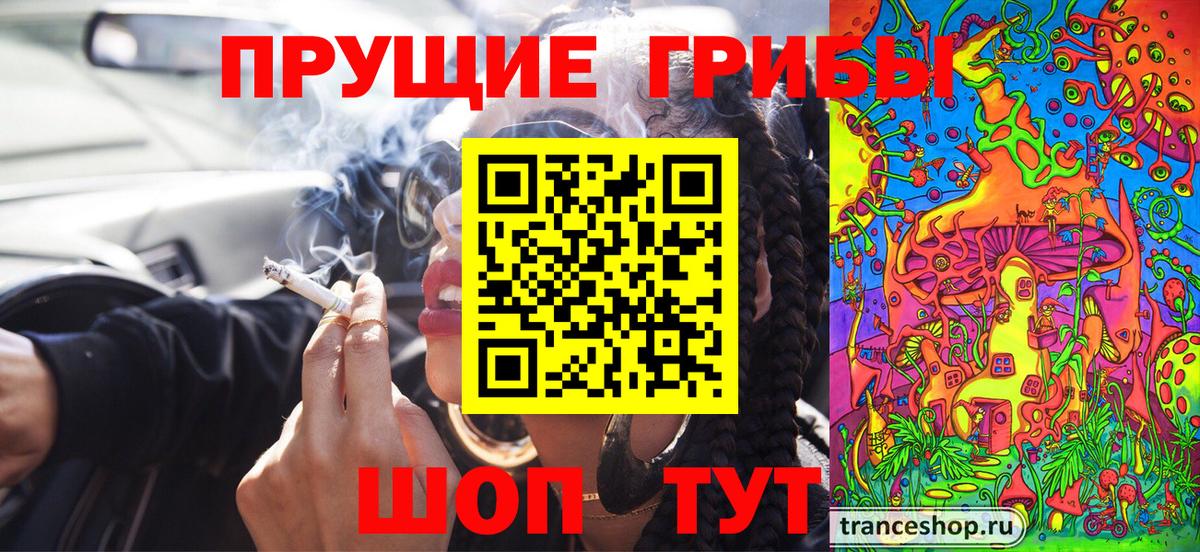 Галлюциногенные грибы мухоморы  купить  цена  Галлюциногенные грибы GOLDEN TEACHER  Бирск  Вход с VPN 